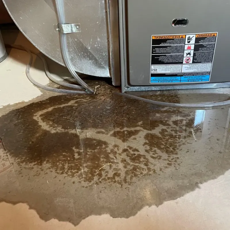 Pipe Burst and Leak Restoration in Noank, CT