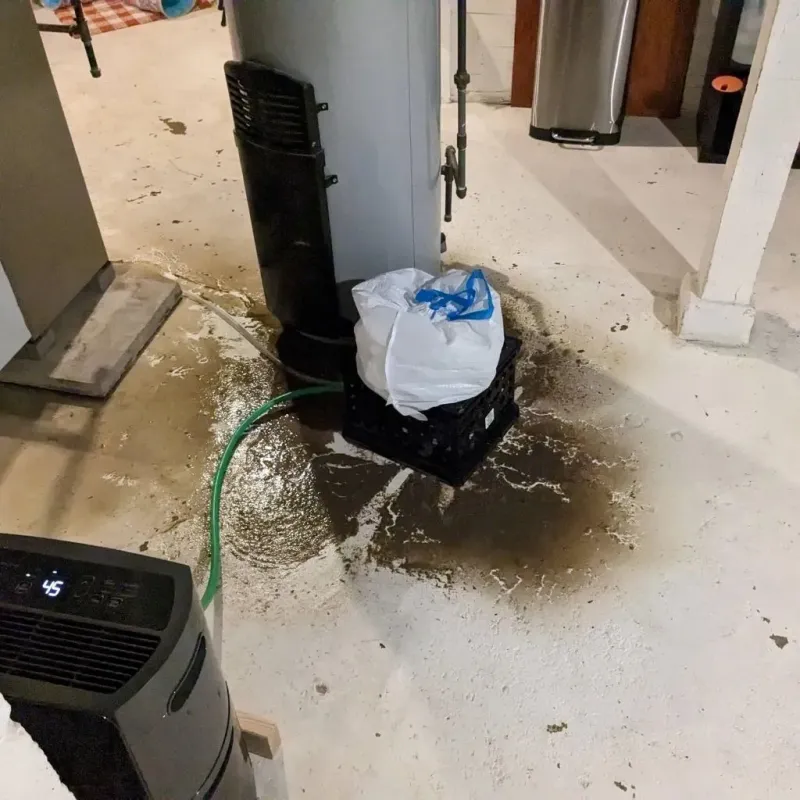 Sewage Backup Cleanup Service in Noank, CT